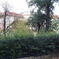 PA041695.JPG