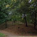 PA041702.JPG