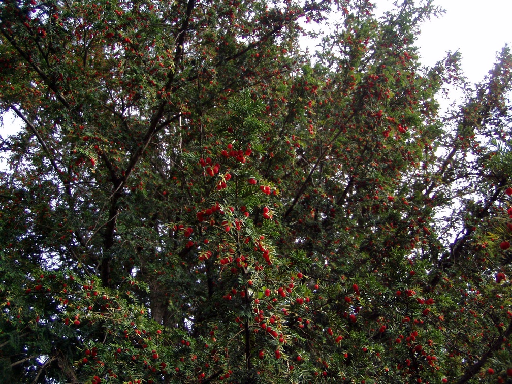 PB082048