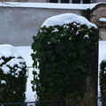 P2140067