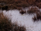 p4050693