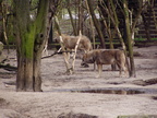 tierpark-berlin